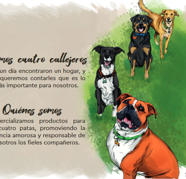 4 callejeros te enseñan: Tenencia responsable de mascotas